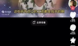 孟贺爆料视频大全下载,揭秘幕后真相，带你走进事件核心