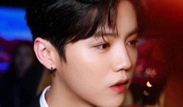 西瓜头娱乐圈爆料博主,明星幕后故事大揭秘