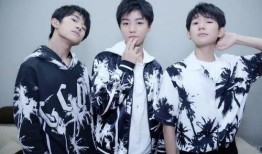 娱乐圈爆料tfboys,揭秘娱乐圈背后的青春传奇